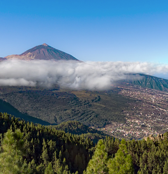 Tenerife