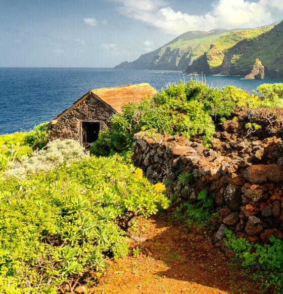 Franceses La Palma