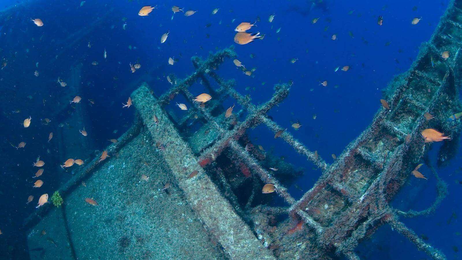 9 Gran Canaria Shipwrecks That Make Divers to Fall in Love