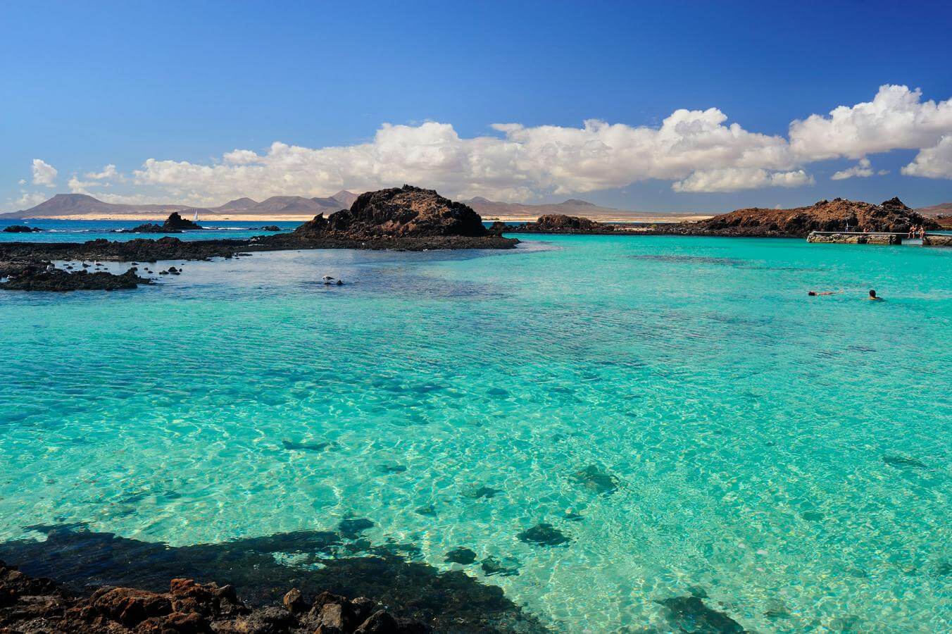 Isla de lobos que hacer