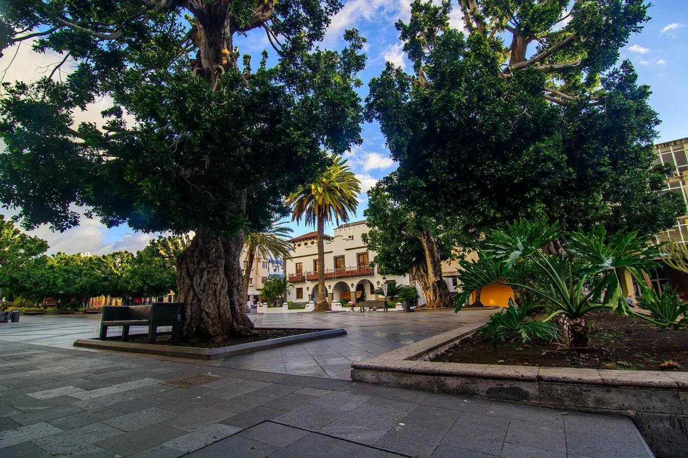 La Palma. Los Llanos de Aridane