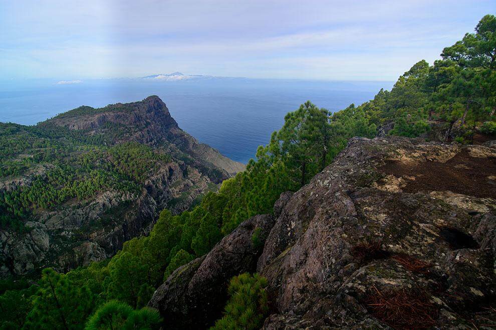 Gran Canaria. Tamadaba