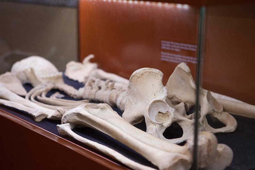 Fuerteventura. Museo Arqueologico Betancuria