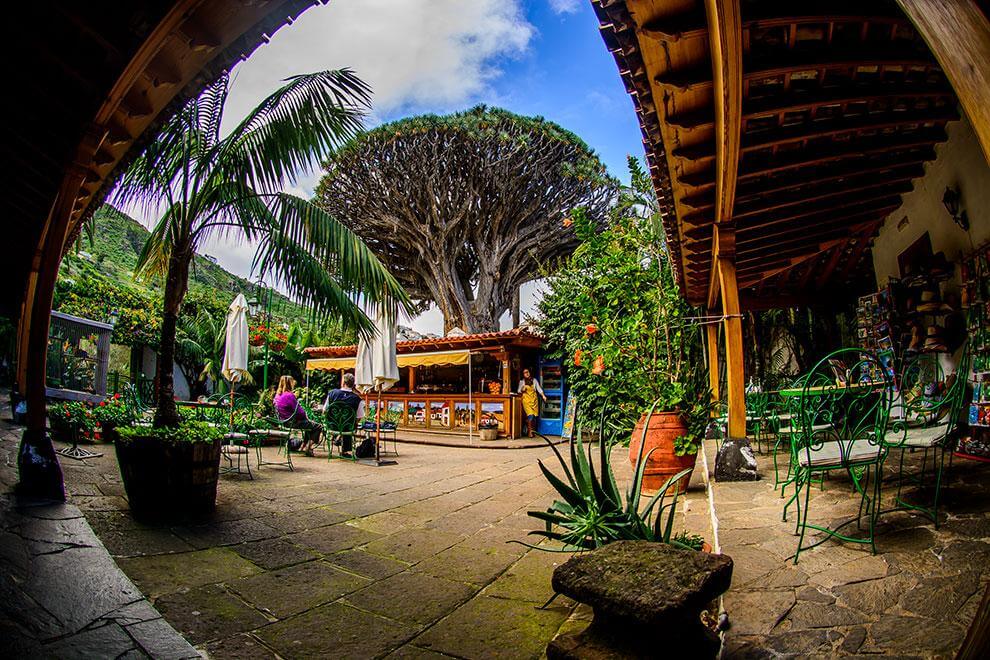 Tenerife. Parque Drago Milenario