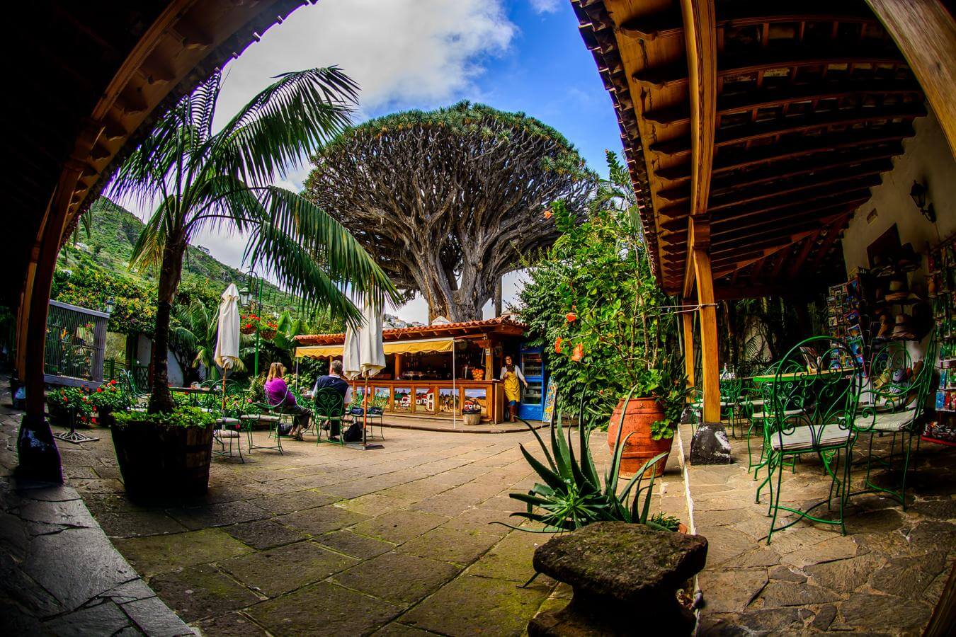Tenerife. Parque Drago Milenario