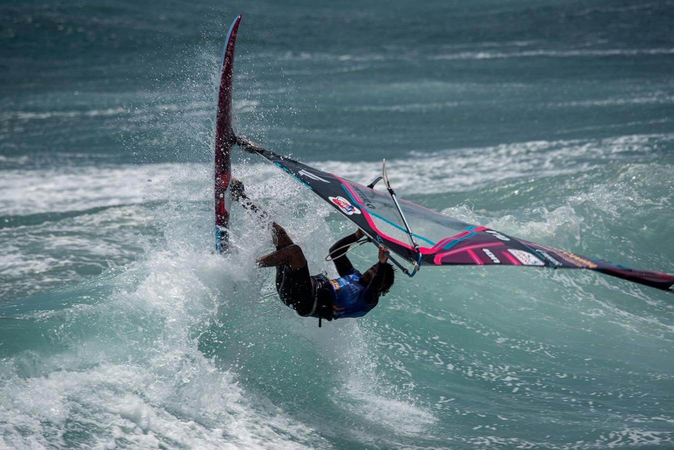 Meet the Kings and Queens of the Air and Ocean | Hello Canary Islands