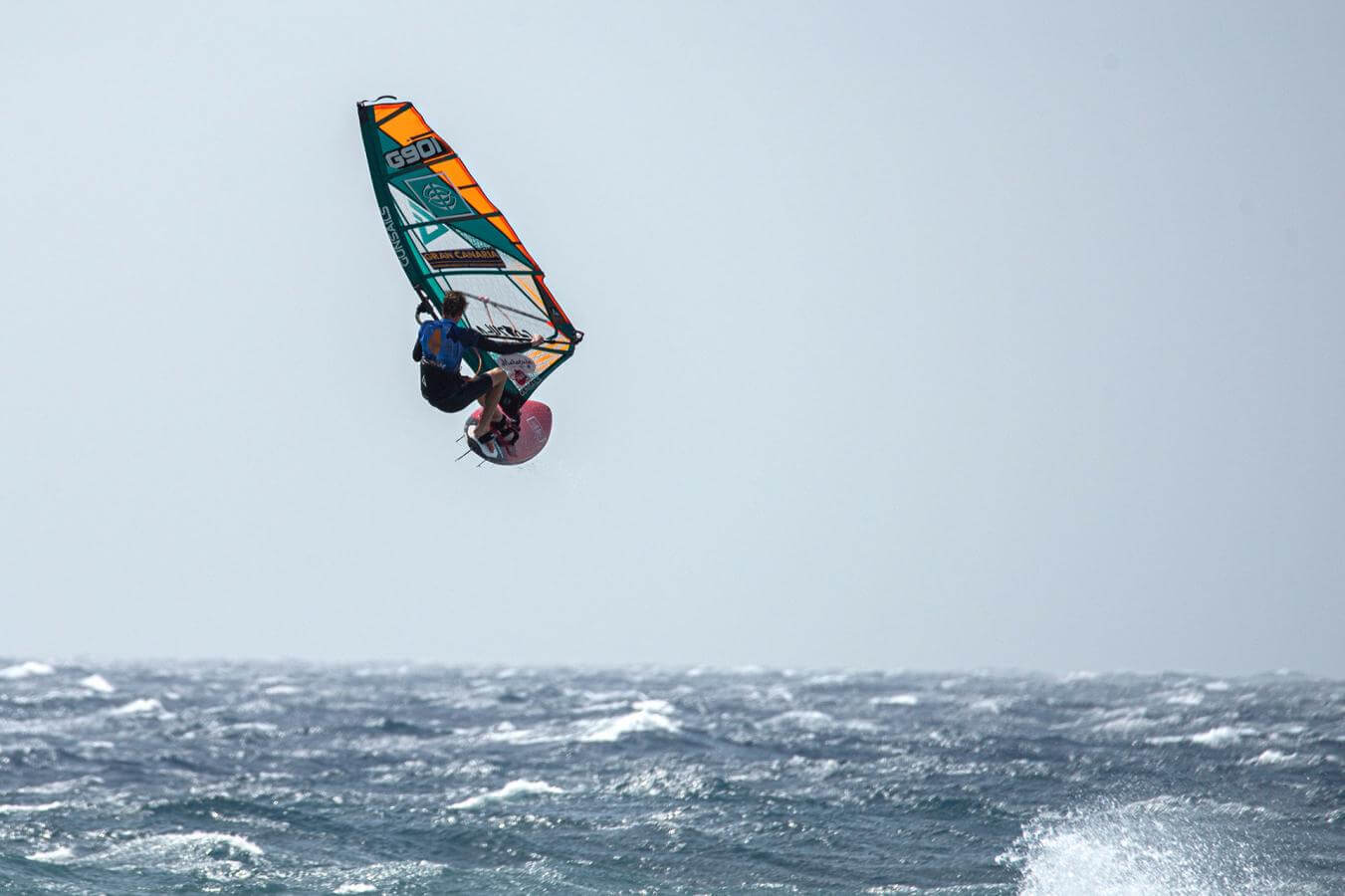 Meet the Kings and Queens of the Air and Ocean | Hello Canary Islands