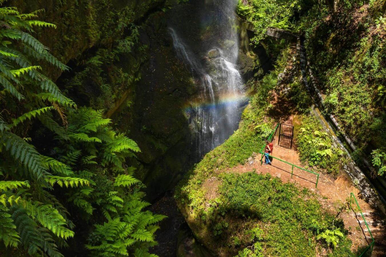 Cascada de Los Tilos. La Palma.