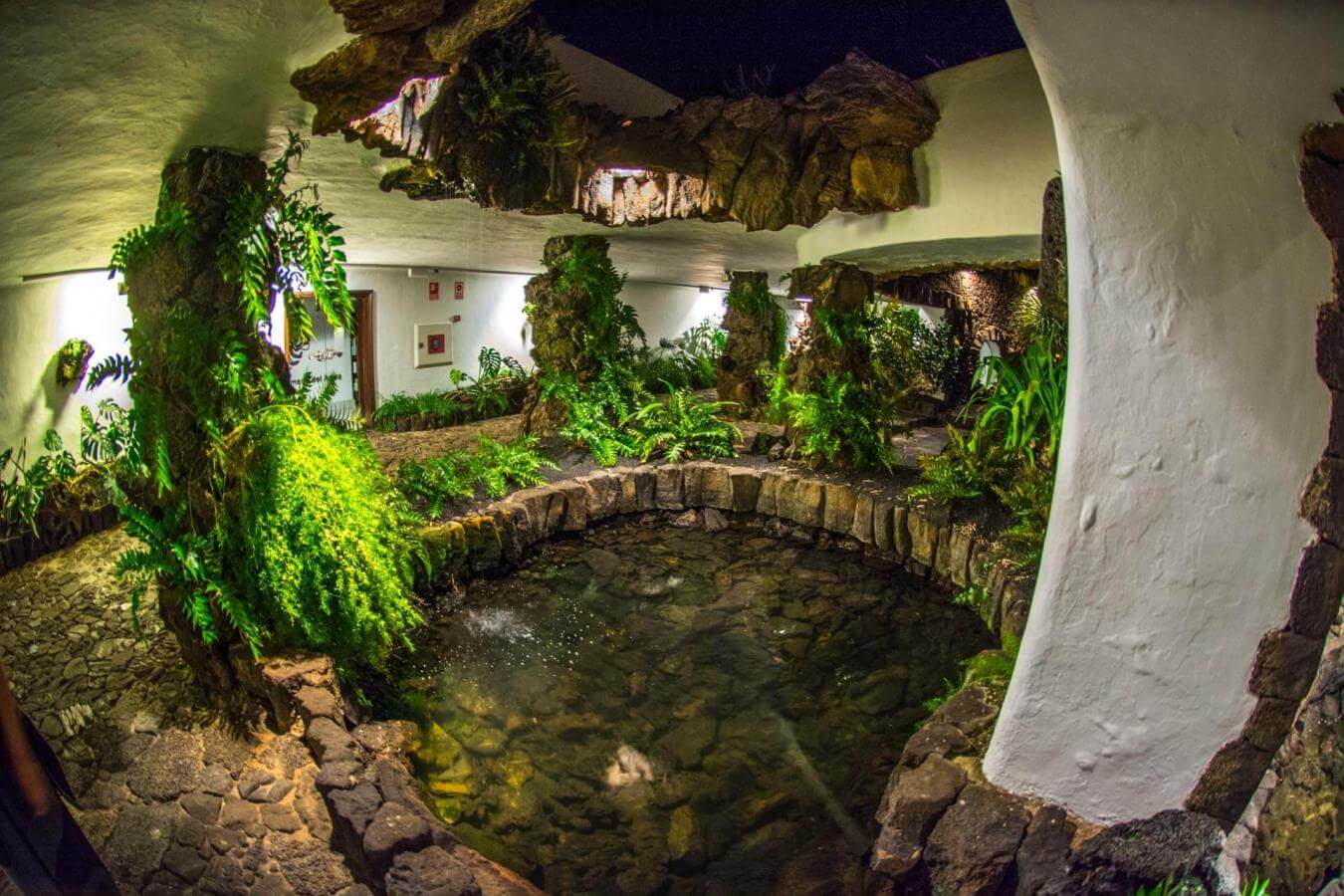 Excursión al Jardín de Cactus, Mirador del Río y Jameos del Agua - galeria4