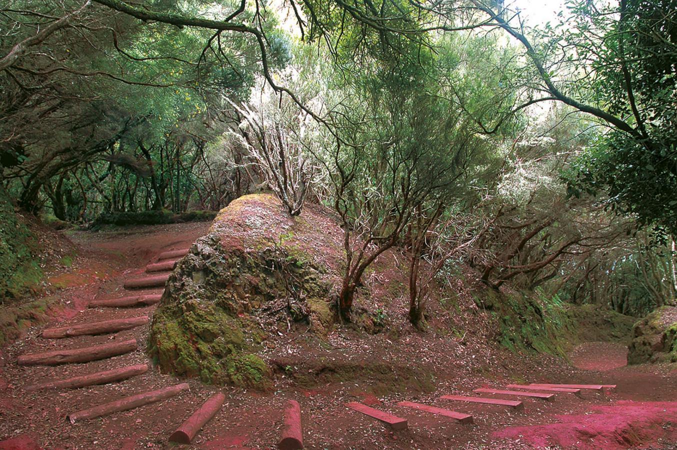 Anaga Rural Park Hello Canary Islands