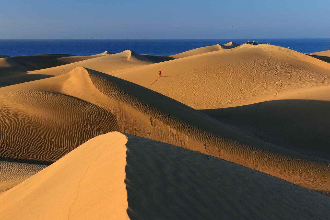 Maspalomas Dunes Nature Reserve | Hello Canary Islands