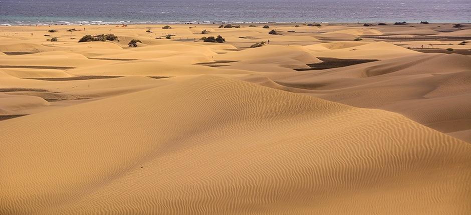 Maspalomas Dunes Nature Reserve Hello Canary Islands